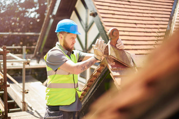 Best Tile Roofing Contractor  in Oldsmar, FL